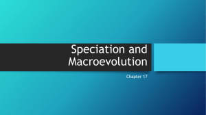 Speciation and Macroevolution