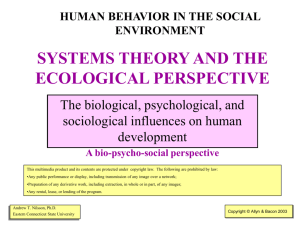 Theoretical Perspecives On Human Behavior And The Social