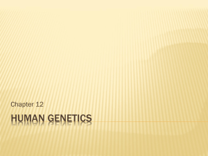 Human Genetics - Cathedral High School