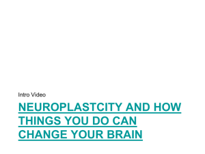 What do you know about neuroplasticity?