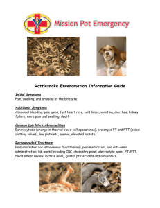 Snake Envenomation - Mission Pet Emergency