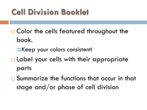 Cell Division Booklet