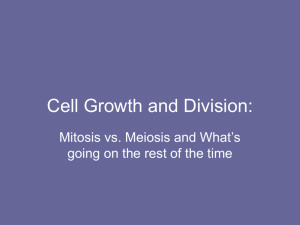 Cell Growth and Division: