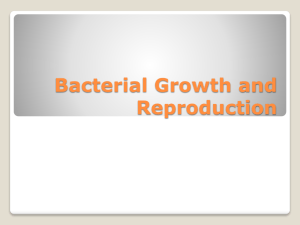 Bacterial Growth and Reproduction