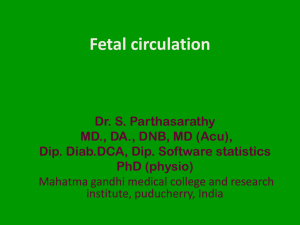 Fetal circulation mgmc