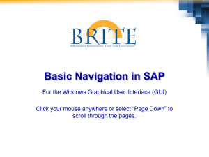 Basic Navigation in SAP (Windows GUI)