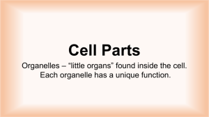 Cell Parts - Fun Science