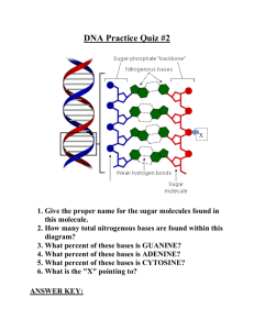 DNA Practice Quiz #2 - Mr. Lesiuk
