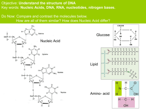 Nucleic Acids, DNA, RNA, nucleotides, nitrogen bases.