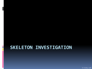 Skeleton Investigation