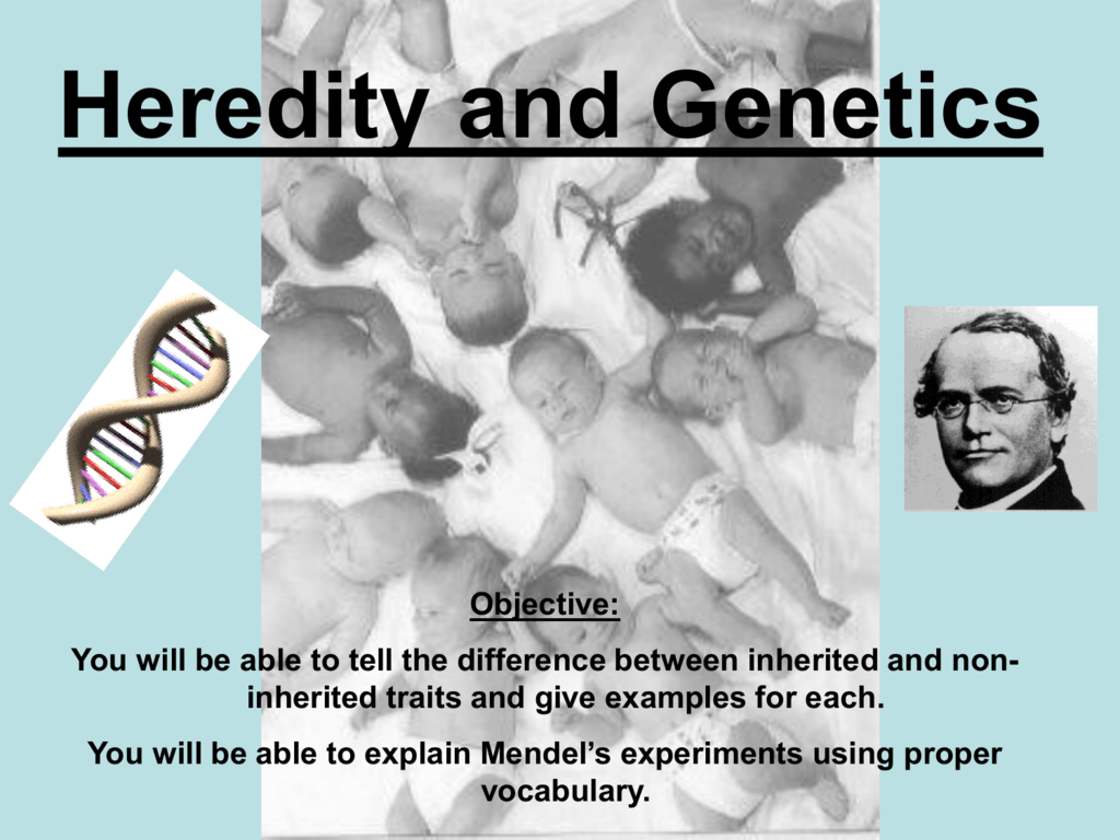 heredity