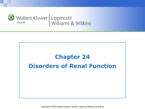 Chapter 24 Disorders of Renal Function
