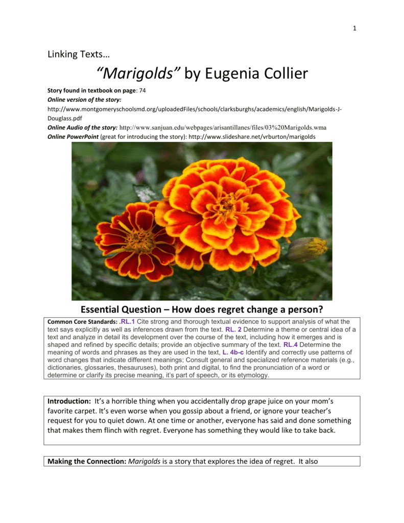 marigolds short story assignment