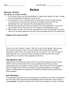 The Bacteria Cell