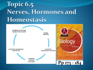 6.5 Nerves Hormones and Homeostasis - IBDPBiology-Dnl