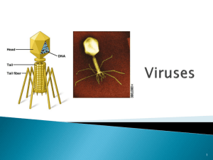 Viruses - Dr Magrann