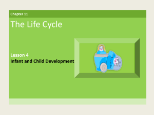 LESSON 4 Infant and Child Development