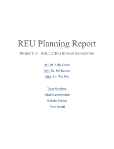 REU Planning Report