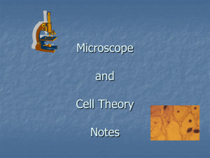 Microscope Notes