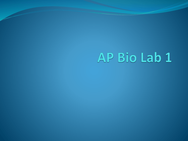 AP Bio Lab 1 Water Potential