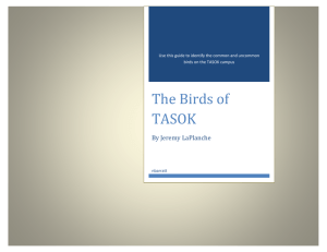 Guide to the Birds of TASOK