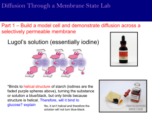 Diffusion PowerPoint