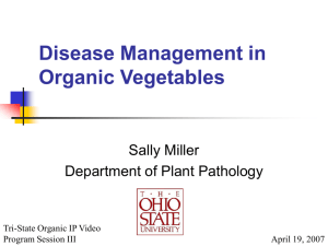 Disease Management in Organic Vegetables