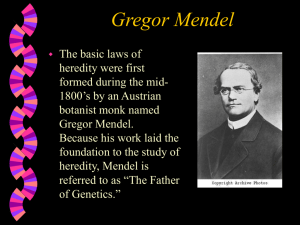 PowerPoint Presentation - Gregor Mendel