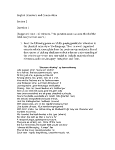 English Literature and Composition_Seamus Heaney