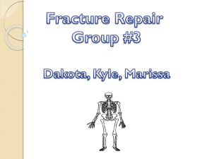 Fracture Repair Peer Notes - Coudersport Area School District