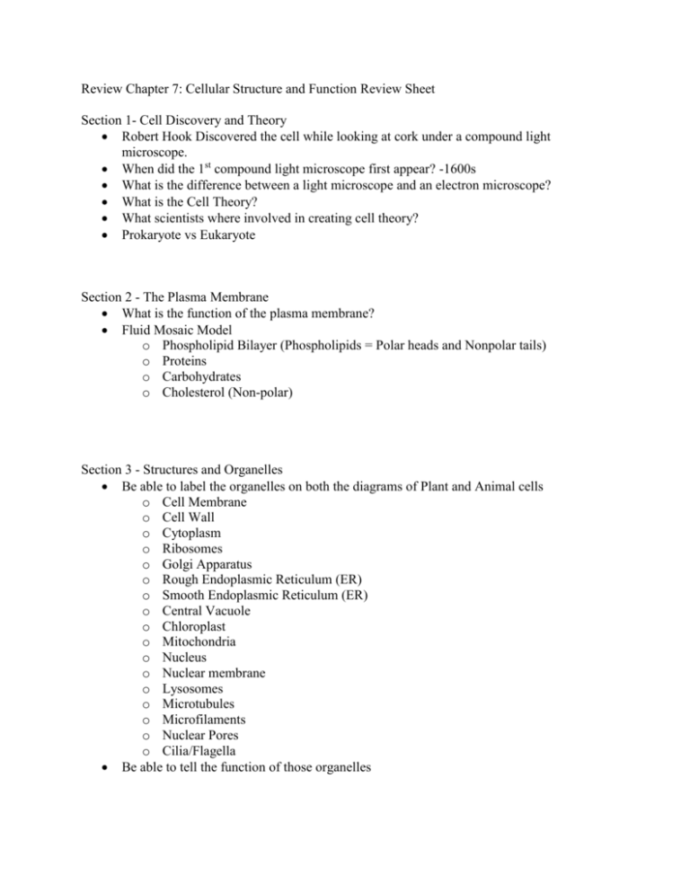 Review Chapter 7 Cellular Structure And Function Review Sheet