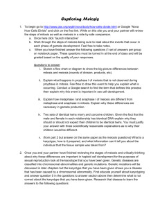 Exploring Meiosis To begin go to http://www.pbs.org/wgbh/nova