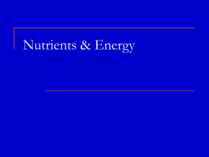 Nutrients & Energy