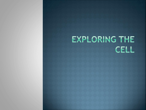 Exploring the Cell PPT