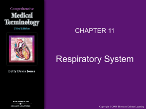 respiratory system - Delmar