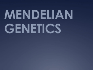chapter 25 - mendelian genetics