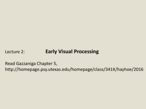 Early Visual Processing