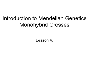 Lesson 4. Mendel, Monohybrid Crosses - Blyth-Biology11