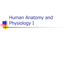 Human Anatomy and Physiology I