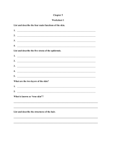 Chapter 5 Worksheet 1 List and describe the four main functions of