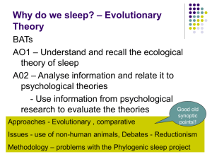 Theories of sleep - The Grange School Blogs