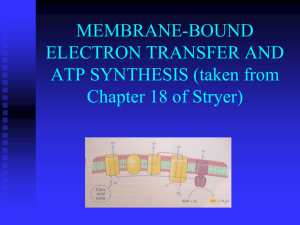 MEMBRANE-BOUND ELECTRON TRANSFER AND ATP