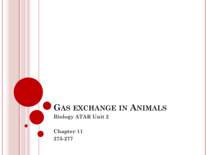 Gas exchange - Our eclass community