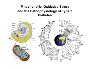 Mitochondria, Oxidative Stress, and the Pathophysiology of Type 2