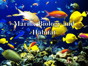 Marine Biology and Habitat
