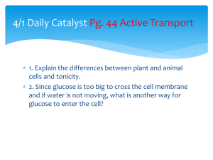 4/9 Daily Catalyst Pg. 39 Active Transport