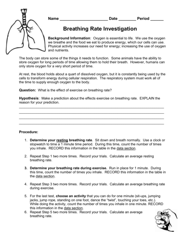 breathing rate and exercise experiment