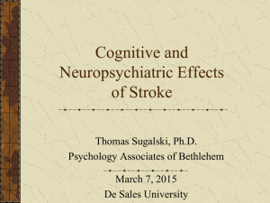 Cognitive and Neuropsychiatric Effects from Stroke