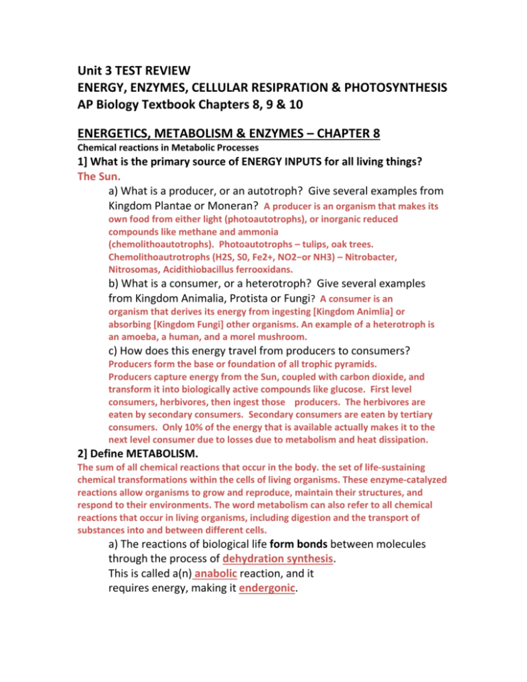 ap bio unit 3 frq photosynthesis