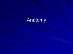 Application of Anatomy and Physiology